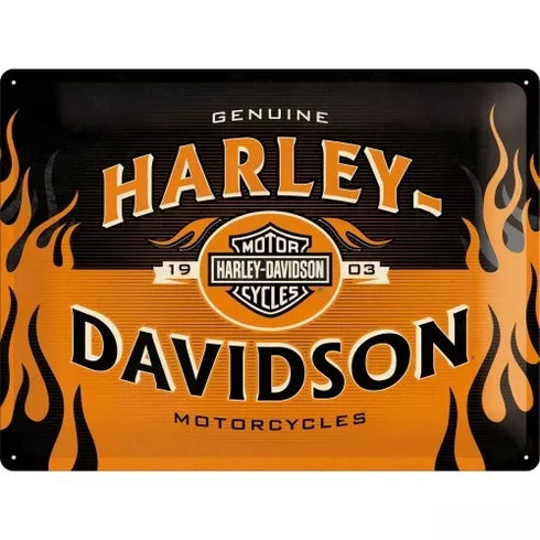 CARTEL 30 X 40 cm HARLEY DAVIDSON 1903